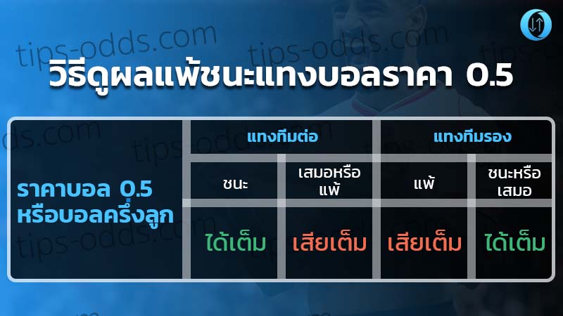 ราคาบอล0.5_