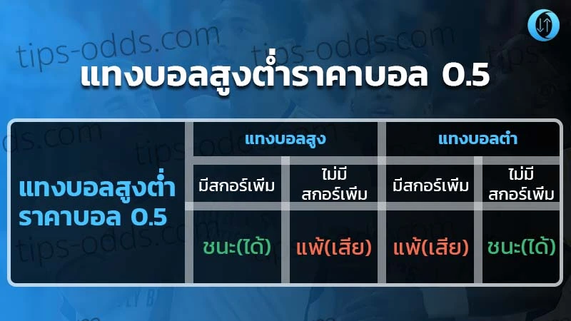 ราคาบอล0.5